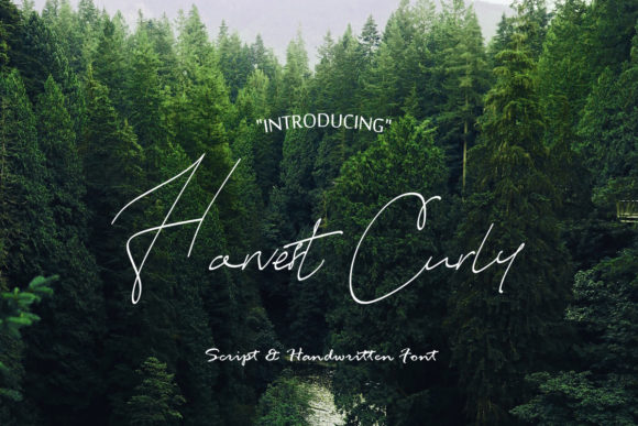 Harvest Curly: A Handwritten Font That Delivers Warmth Without Compromise